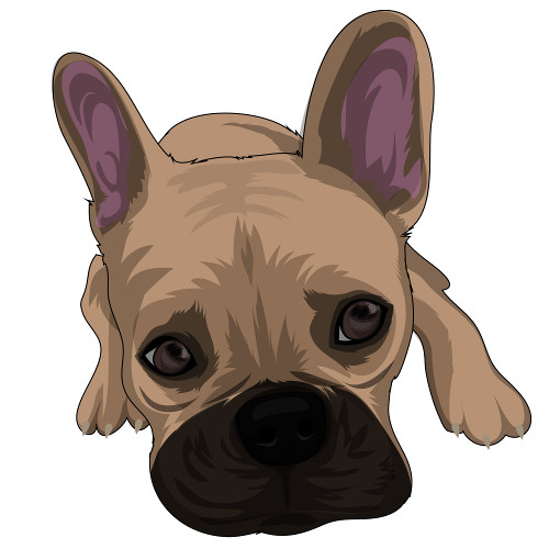Frankie